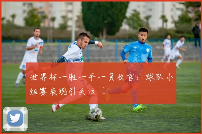 世界杯一胜一平一负收官,球队小组赛表现引关注_1