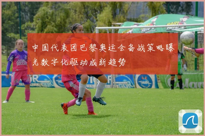 中国代表团巴黎奥运会备战策略曝光数字化驱动成新趋势