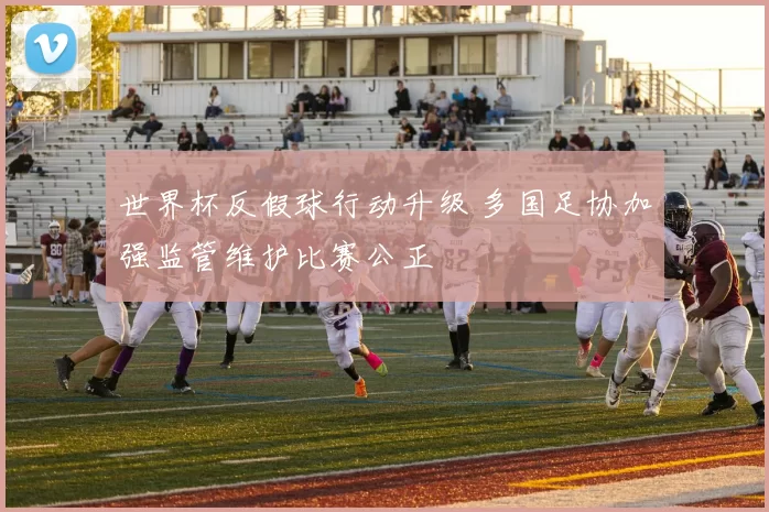 世界杯反假球行动升级 多国足协加强监管维护比赛公正
