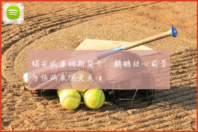锡安威廉姆斯简介：鹈鹕核心前景与伤病表现受关注