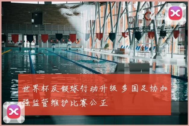 世界杯反假球行动升级 多国足协加强监管维护比赛公正